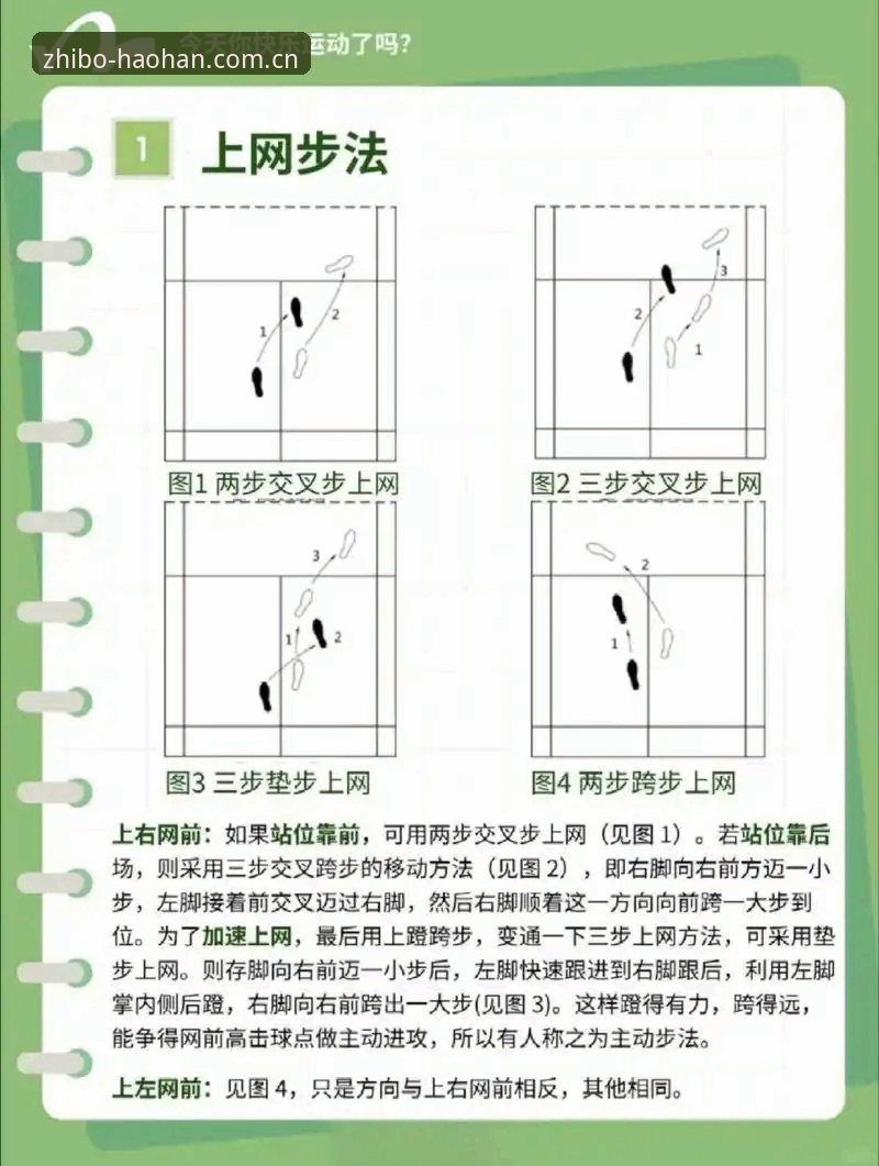 浩瀚体育官网快速访问入口使用教程：从旧版迷路到直接看季后赛数据的完整操作指南